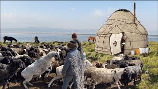 Beautiful wild life far from civilization  Cooking Pilaf in the mountains