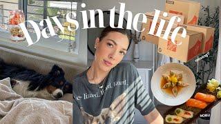 Days in the life busy days are we moving? + Ab workout  Ryanne Darr Vlogs