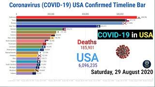 COVID-19 USA Confirmed Timeline Bar  29 August  Coronavirus Update graph live