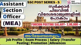 ASSISTANT SECTION OFFICER IN MEA JOB PROFILE  EXAM  SALARY  PROMOTION  TRANSFER  FOREIGN POSTING