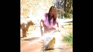 Wow Cute Sister Catch Crocodiles And Learn train Cleaning About Crocodile Basics at Home