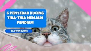 6 Penyebab Kucing Tiba tiba Menjadi Pendiam  dunia kucing