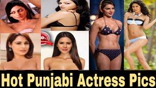 Punjabi actress super hot pics  neeru bajwa sonam bajwa mandy takhar best hot