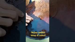 bernuru emas di kali#video #shorts