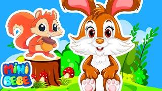 Tavşanı Seviyorsan Alkışla  Hayvanları Tanıyalım  MiniBebe