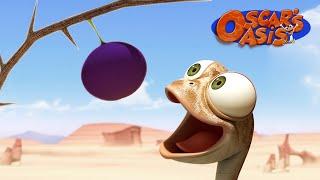 Will Oscar Get His Favourite Fruit?  Oscars Oasis  Funny Cartoons for Kids