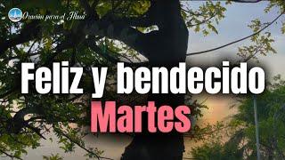 Feliz y bendecido Martes Dios te bendiga este dia