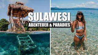 Der ULTIMATIVE SULAWESI Guide - DEIN NÄCHSTES GROßES ABENTEUER l Reiseroute Kosten & Highlights