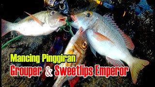 Mancing Casting Pinggiran Laut  Strike Kerapu & Sweetlips Emperor  Ikan Lencam