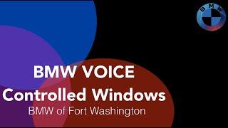 BMW Voice Controlled Windows
