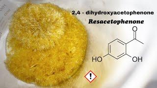 Resacetophenone 23 dihydroxyacetophenone organic synthesis