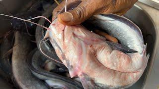 DIY … How to Dry your Fish at home