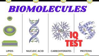 Biology MCQ BIOMOLECULES  Top 20 Questions for Exam