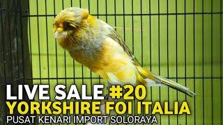 LIVE SALE #20 KENARI YS FOi ITALIA YG DI TUNGGU  Pusat kenari import soloraya