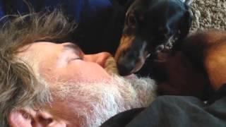 Dog Licks Sleeping Mans Mouth