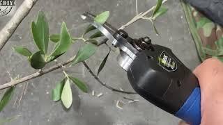 cutting branches video of Swansoft 8605 40mm cordless electric pruning shearprunerscissorsecateur