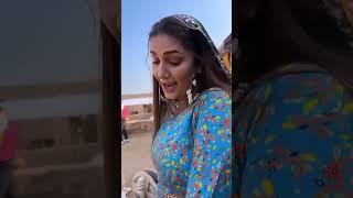 Sapna choudhary Dance Video  Dj Sheizwood  Youtube Shorts 2023