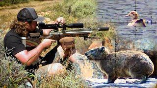 Hyrax & Goose Hunt with PCP Airguns - A Busy Day in the Mountains