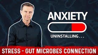 The Brain-Gut Connection Anxiety & Stress Coming from Missing Gut Bacteria – Dr.Berg