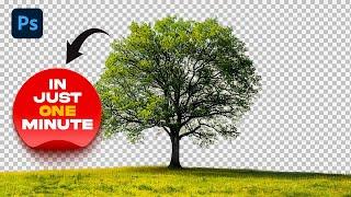 How to remove background from a Tree in Photoshop