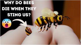 मधुमक्खी इंसान को काटते ही मर जाती है आखिर क्यों? 3D Animation #Shorts