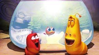 LARVA - AQUARIUM  Larva 2017  Cartoons  Comics  Larva Cartoon  LARVA Official