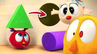 Learning with friends  Wheres Chicky?  Cartoon Collection in English for Kids  New episodes