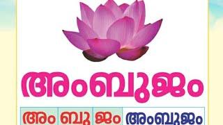 മലയാളം അക്ഷരം അം for UKG. pre primary GMLPS Iringallur