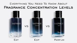 Everything You Need To Know About Fragrance Concentration Levels - EDT EDP Parfum & MORE