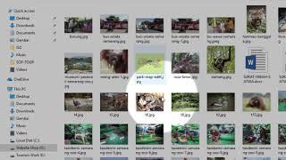 Cara Menampilkan Pratinjau Gambar thumbnail di Folder Windows 10