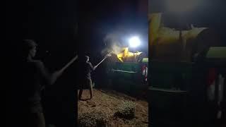 village woman groundnut harvesting at night