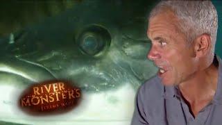 Jeremy Wade Scarred By Arapaima Attack  ARAPAIMA  River Monsters