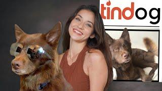 WHAT I EAT IN A DAY + I made a tinder for dogs