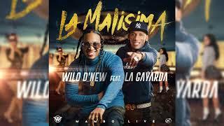 Wilo D New  - La Malisima ft La Gayarda Mambo Version Live