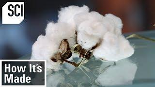 How Cotton is Processed in Factories  How It’s Made