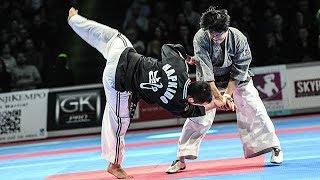 LE HAPKIMUDO AU 33EME FESTIVAL DES ARTS MARTIAUX