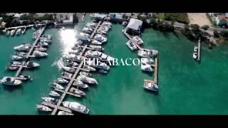 THE ABACOS