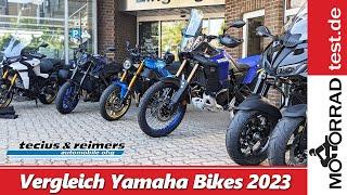Vergleich Yamaha Motorräder 2023  Tour durch Schleswig-Holstein mit Testbikes von Tecius & Reimers.