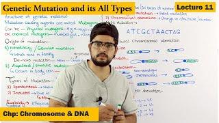 Mutation and its Types  Lecture 11