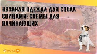 Вязаная одежда для собак спицами схемы для начинающих