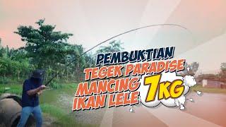 TEGEK PARADISE ANGKAT LELE 7KG ? EMANG KUAT ? INI BUKTINYA