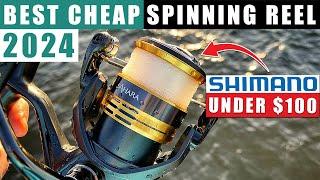 5 Best Cheap SHIMANO SPINNING REELS under $100 2024 reviewed