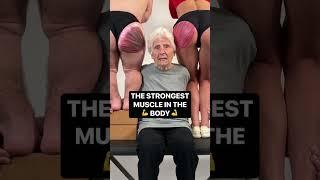 They always say listen to your elders so you better listen on up @rosssmith3226 #shorts #glutes