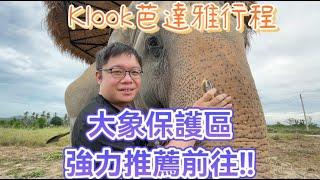 泰國自由行  芭達雅Klook行程，大象叢林保護區好玩又充滿知識