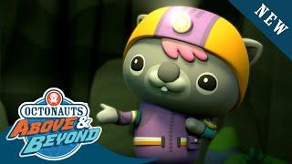 Octonauts Above & Beyond - Meet Oct-Agent Ryla the Cave Diver  @Octonauts