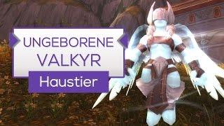 Ungeborene Valkyr - Haustier Tipp WoW