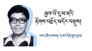 དཔལ་དོན་གྲུབ་རྒྱལ་གྱིས་འཆད་ཁྲིད་གནང་བའི་ར་མ་ནའི་རྟོགས་བརྗོད་མདོར་བསྡུས། བོད་སྐད། 　Tibetan language