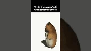 Ill do it tomorrow