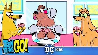 Teen Titans Go  Animals Alive Part II  @dckids