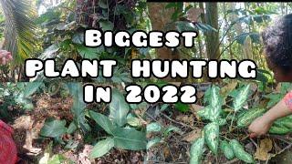 Biggest PLANT HUNTING with Variety & Costly Plants in 2022  Indoor Plant  Plant Hunting  zz Plant